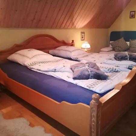 Holiday Home In Geiersthal With Terrace And Garden Hébergement de vacances Geiersthal