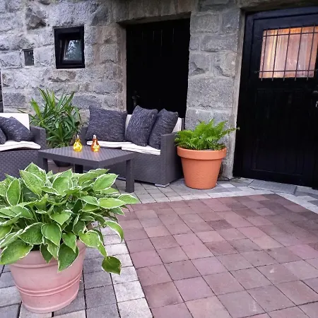 Hébergement de vacances Holiday Home In Geiersthal With Terrace And Garden *